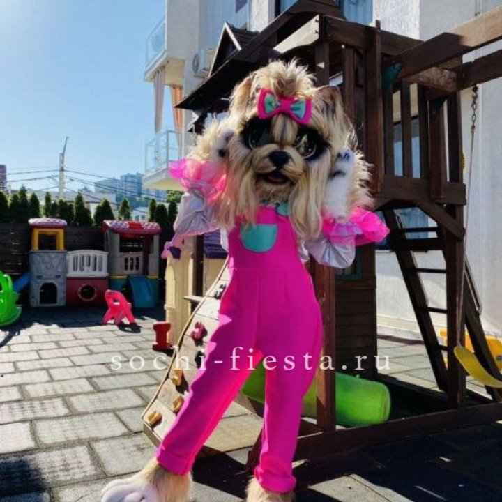 Аниматор Гламурная Собака в Костроме