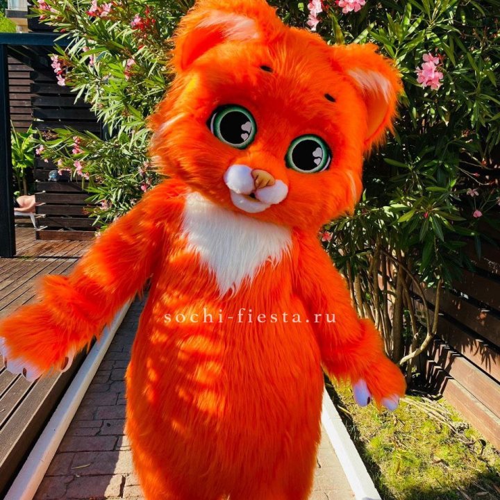 Аниматор Котик в Костроме