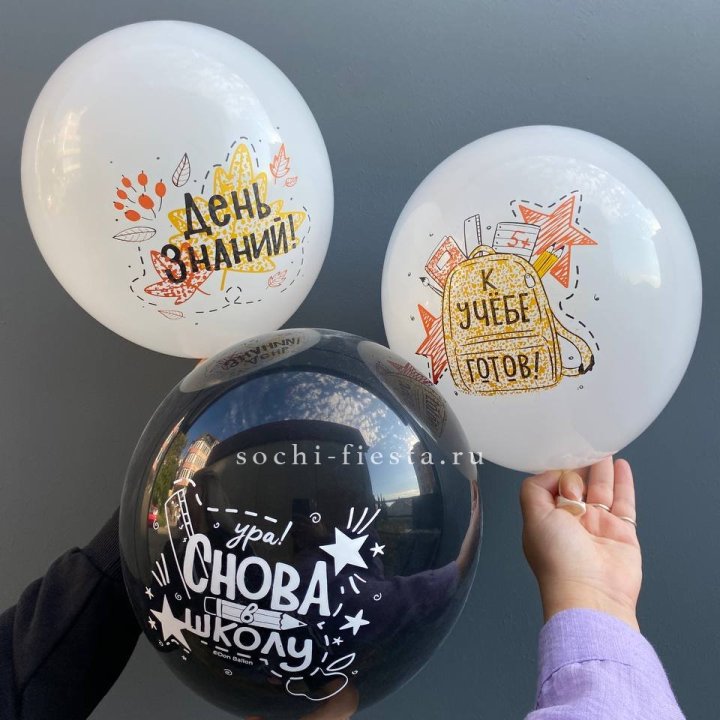 Воздушный шар к 1 сентября в Костроме