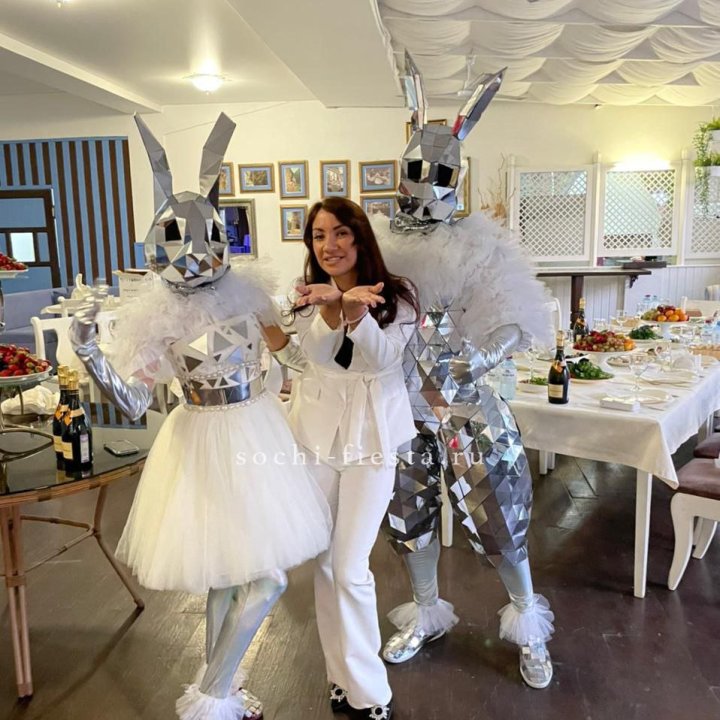 Аниматор Зеркальный заяц в Костроме