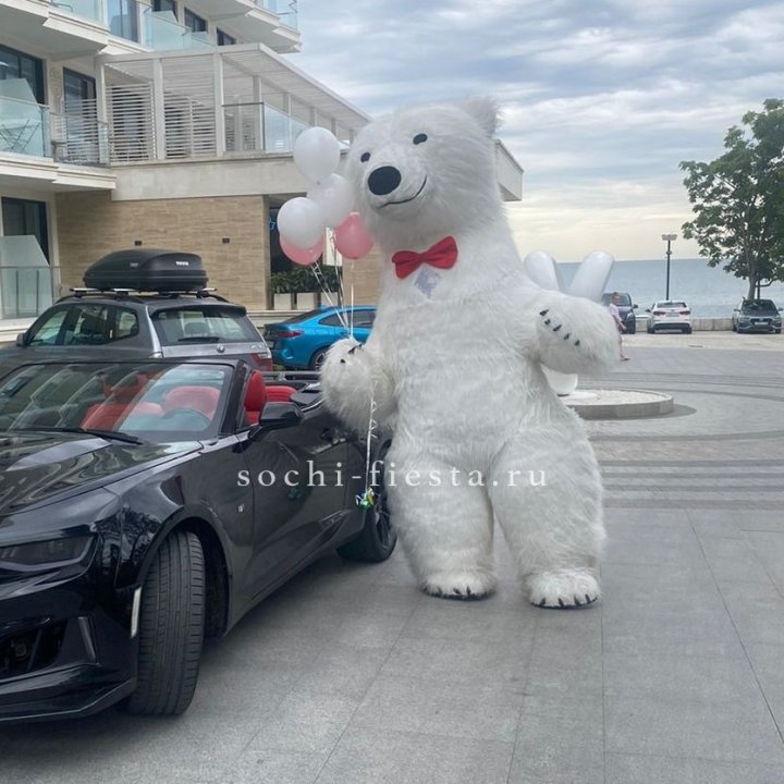 Аниматор Белый Медведь в Костроме