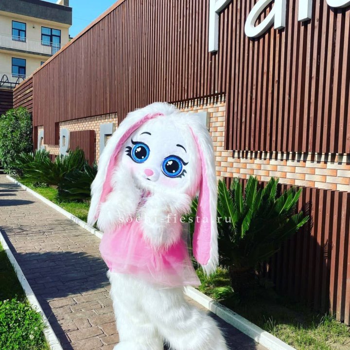 Аниматор Зайка в Костроме