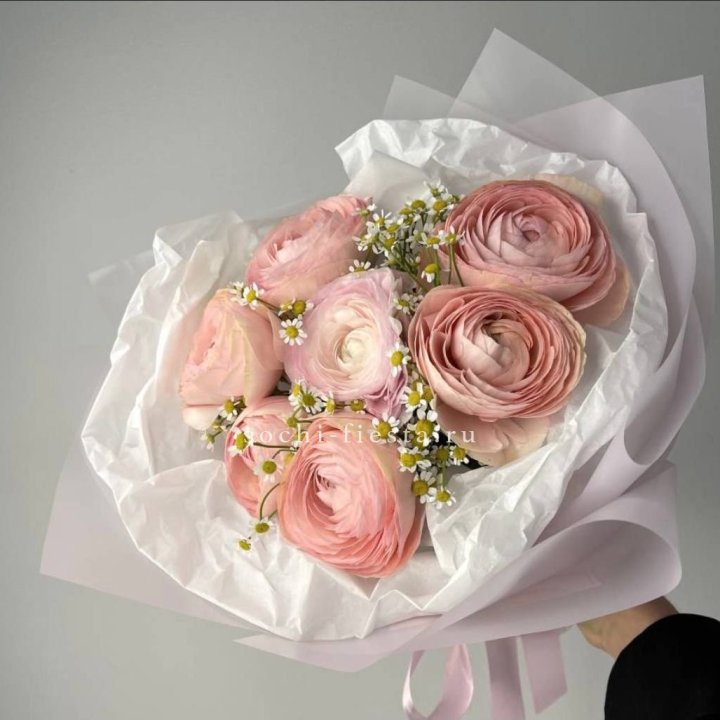 Ранункулюсы с ромашками в Костроме