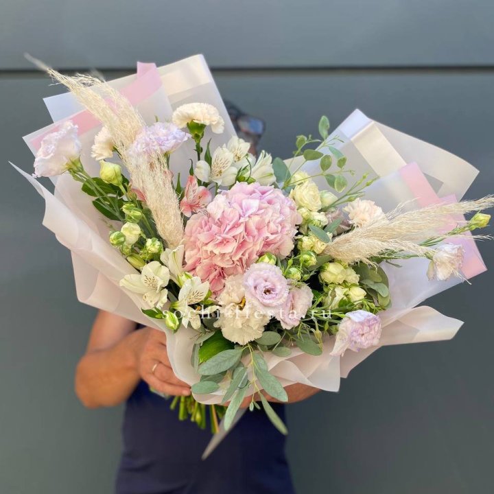 Гортензия "Пинк флоид" в Костроме