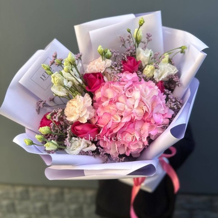 Гортензия "Перпил" в Костроме