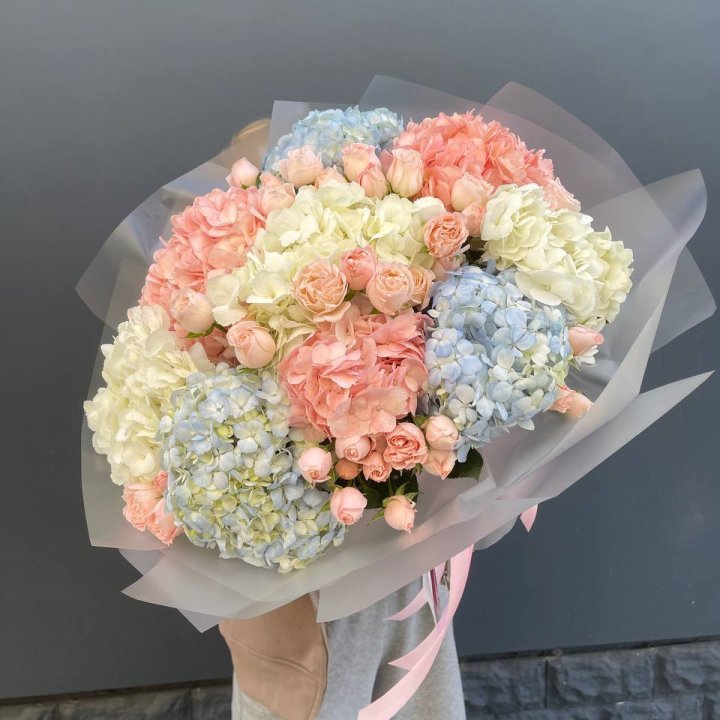 Дуо гортензии и бомбастик в Костроме