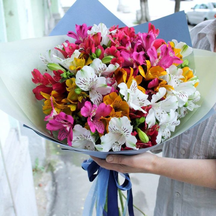 Микс альстромерий в Костроме