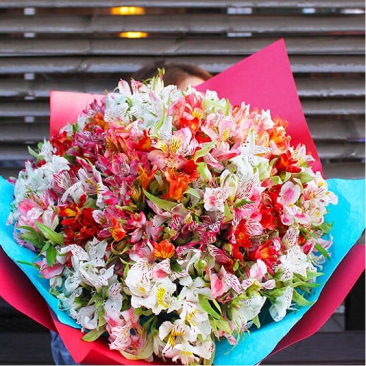 101 альстромерия в Костроме