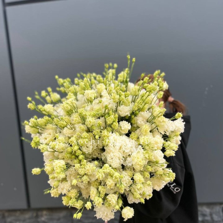 51 белая эустома в Костроме