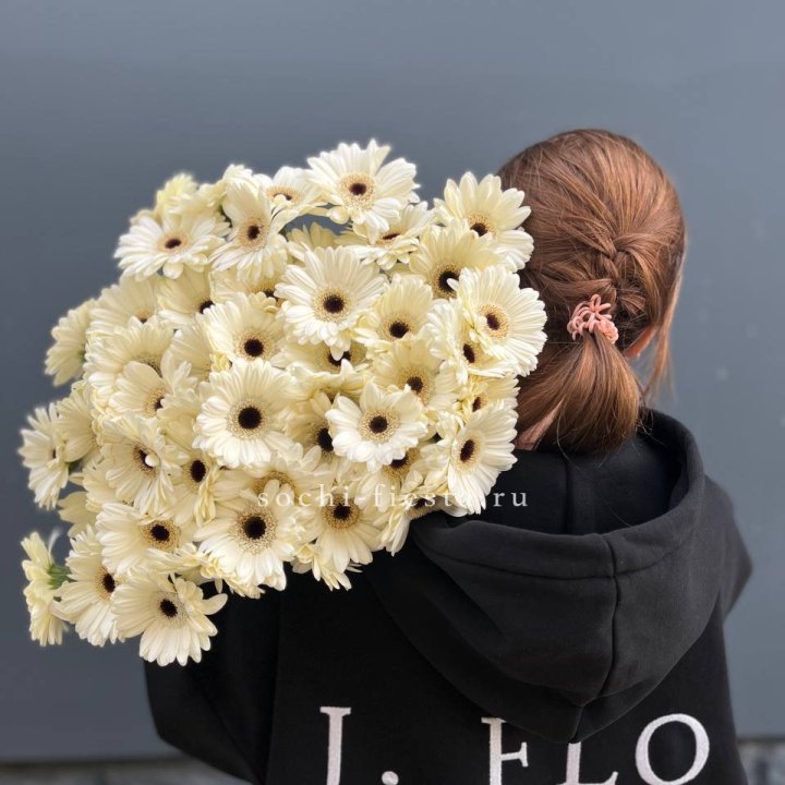 51 гербера в Костроме