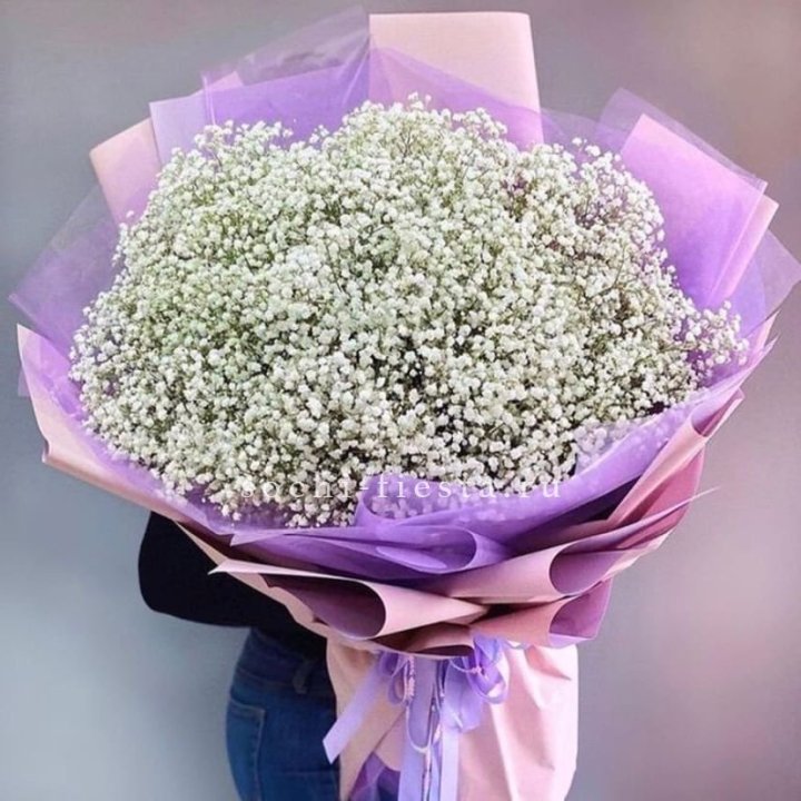 Облако белых гипсофил в Костроме