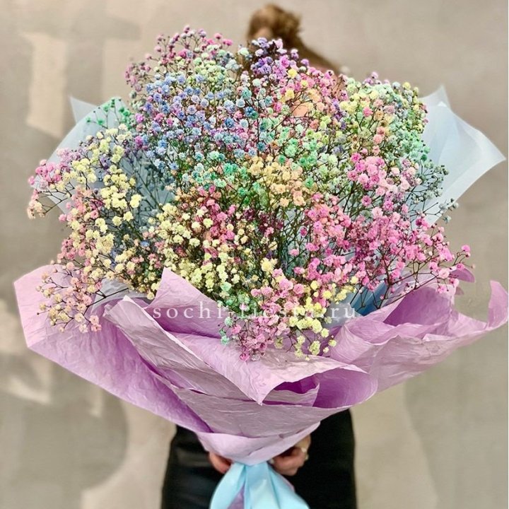 Радужные гипсофилы №2 в Костроме