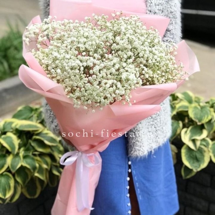 Белоснежные гипсофилы в Костроме