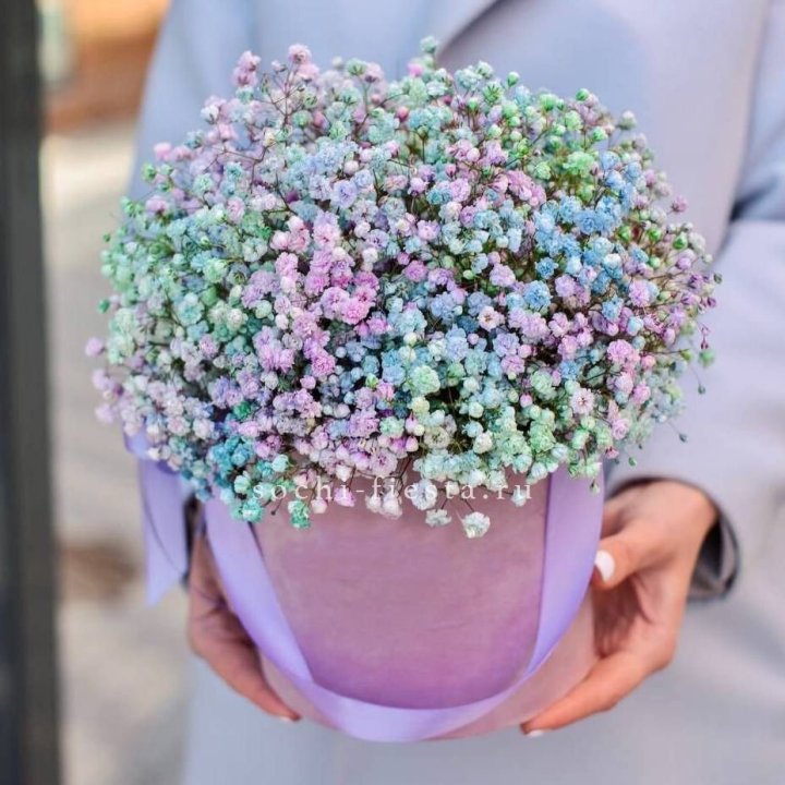 Гипсофилы в шляпной коробке "Кандилайт" в Костроме