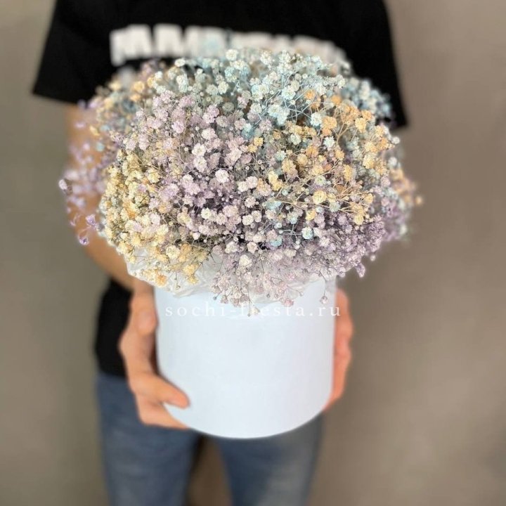 9 Радужных гипсофил в шляпной коробке в Костроме