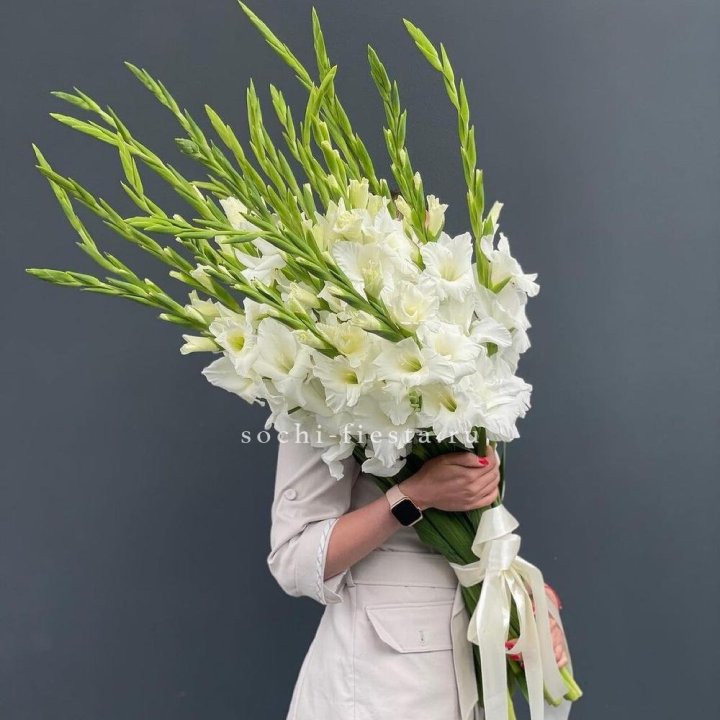 19 белых гладиолусов под ленту в Костроме