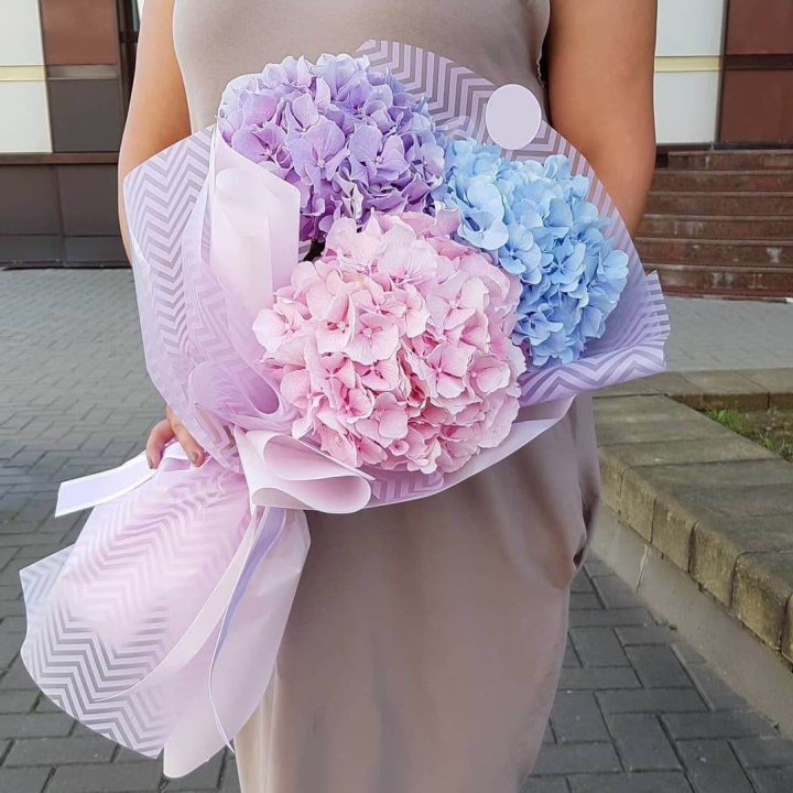 Букет гортензий "Пуф" в Костроме