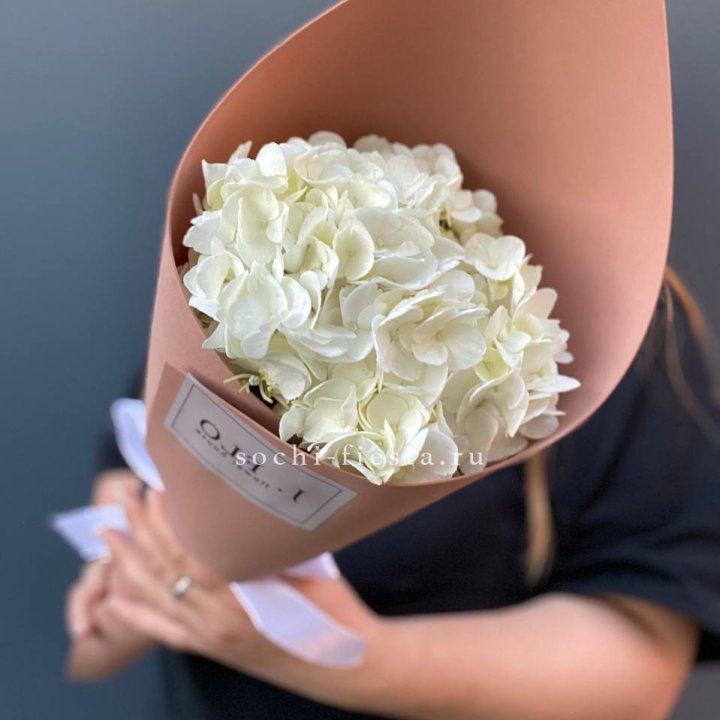 Гортензия в конверте в Костроме