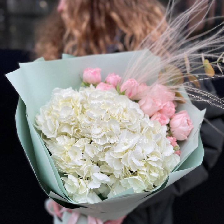 Гортензия "Жасмин" в Костроме