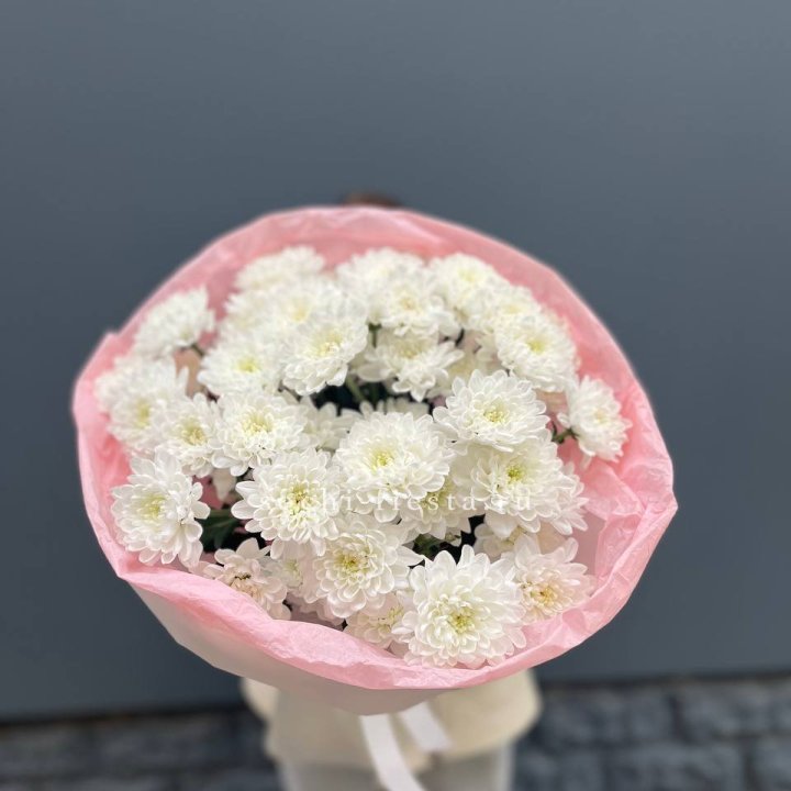  5 хризантем  в Костроме