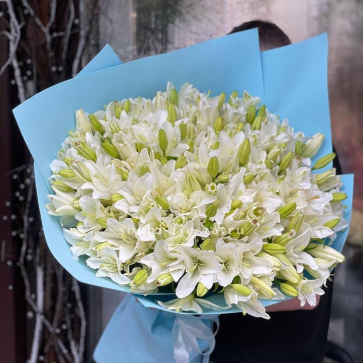 51 лилия в оформлении в Костроме