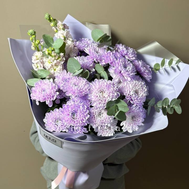 Дуо хризантема и маттиола в Костроме