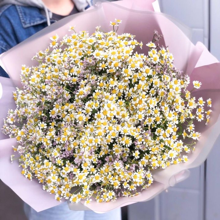 Букет ромашек №1 в Костроме