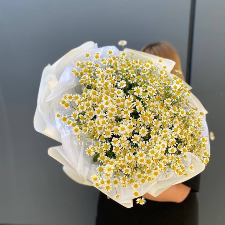 Букет ромашек "Фемели" в Костроме