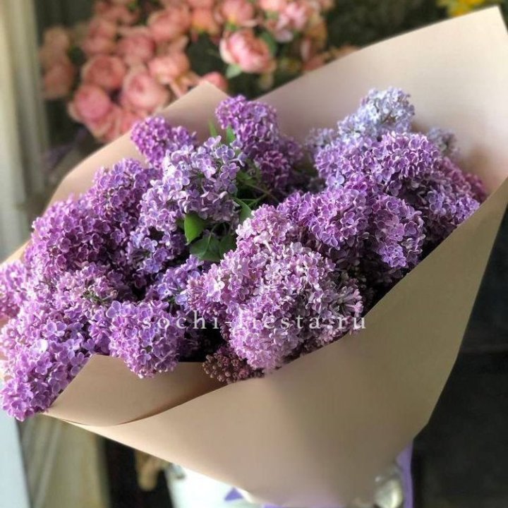 Букет сирени №2 в Костроме