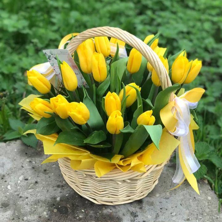 25 желтых тюльпанов в корзине в Костроме