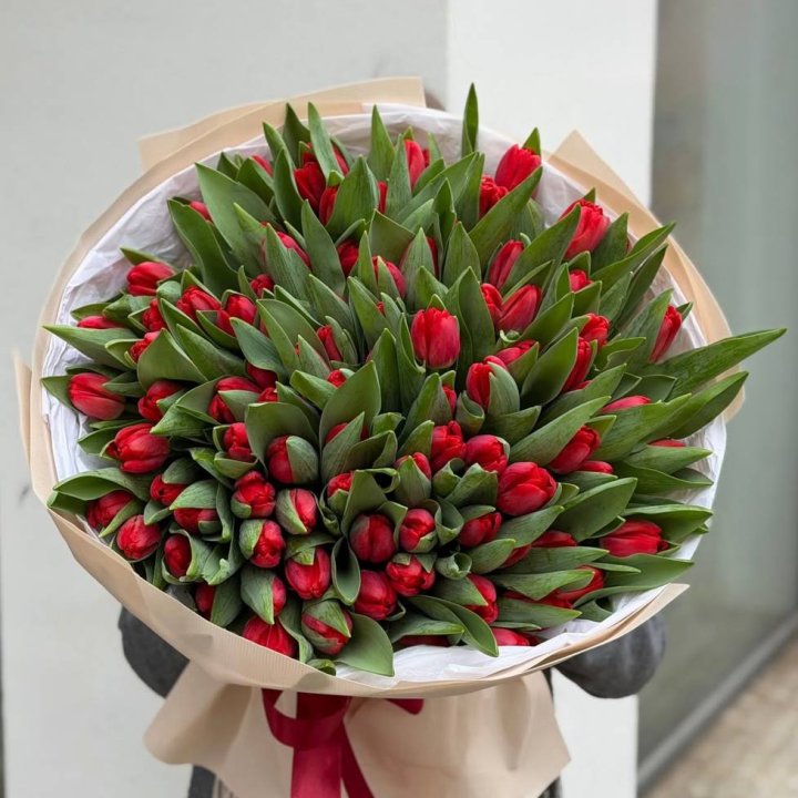 101 красный тюльпан в Костроме