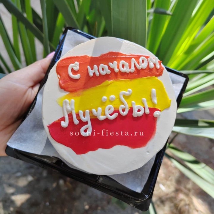 Бенто-торт "С началом учёбы"" в Костроме