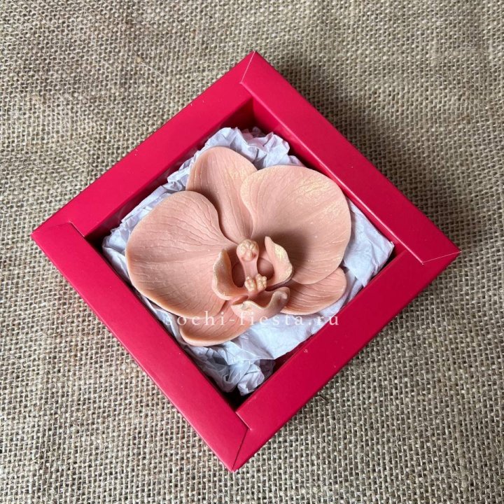 Бельгийский шоколад Орхидея в Костроме