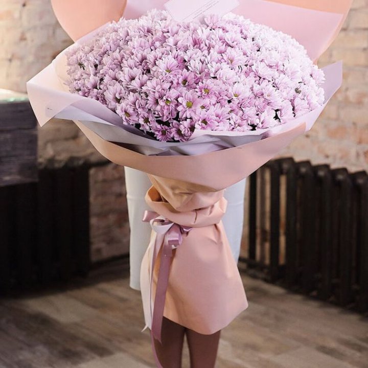 Облако хризантем №1 в Костроме