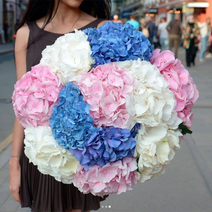 Букет гортензий "Инь-Янь" в Костроме