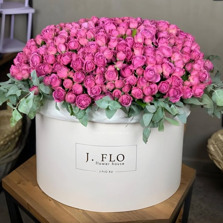 Цилиндр с Мисти Бабблс  в Костроме