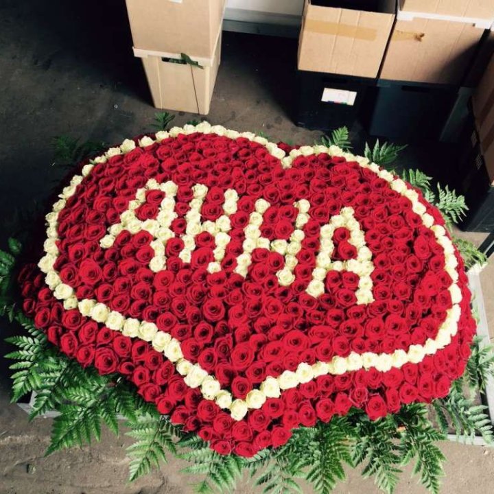 555 роз с именем в Костроме