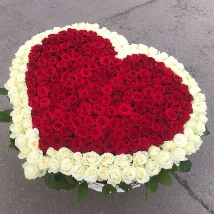 333 розы в корзине в Костроме