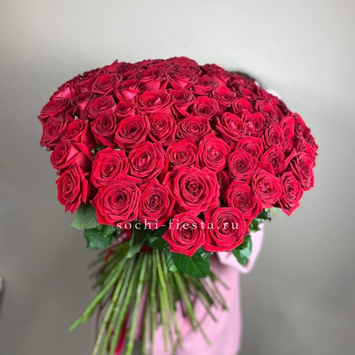 101  голландская роза  в Костроме