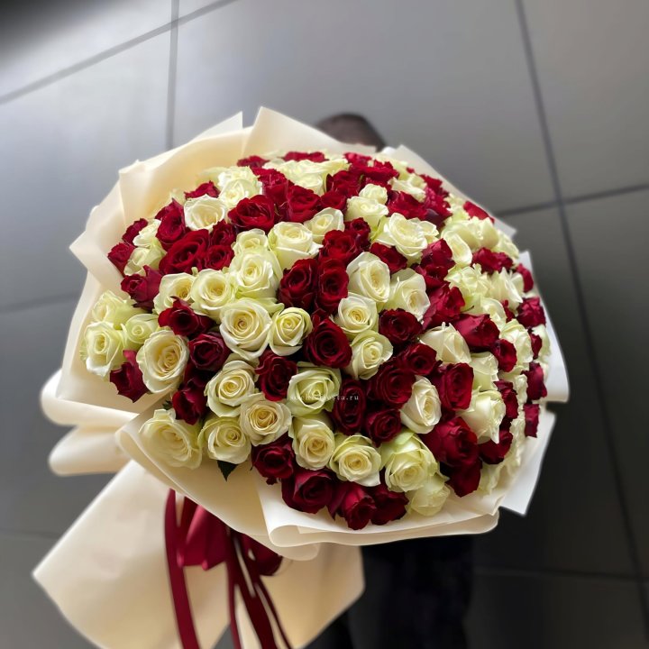 101 высокая импортная роза  в Костроме