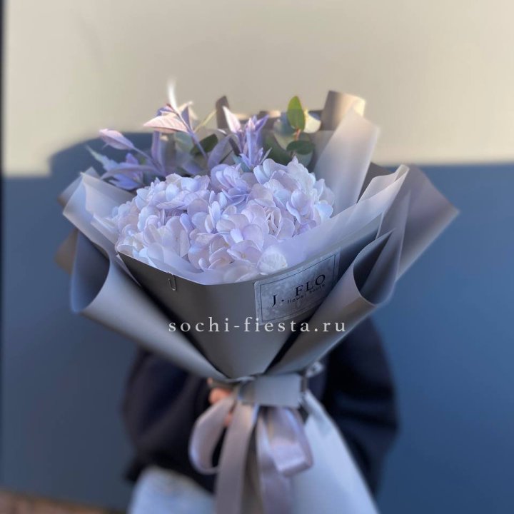 Гортензия "Виолета" в Костроме