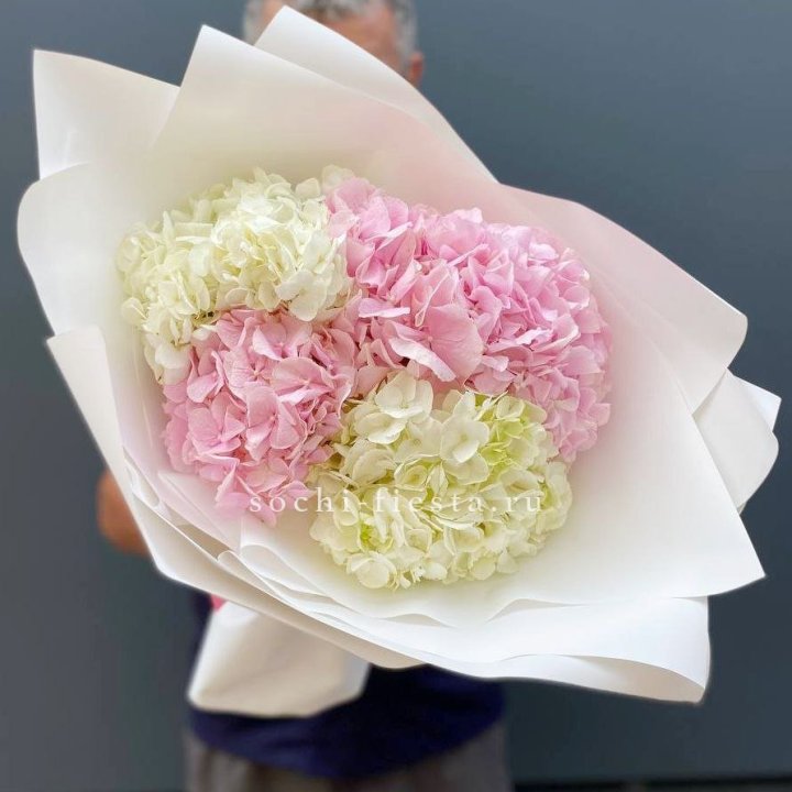 Букет гортензий №5 в Костроме