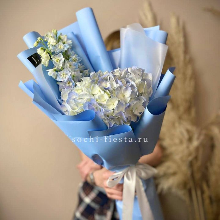 Гортензия "Блю скай" в Костроме
