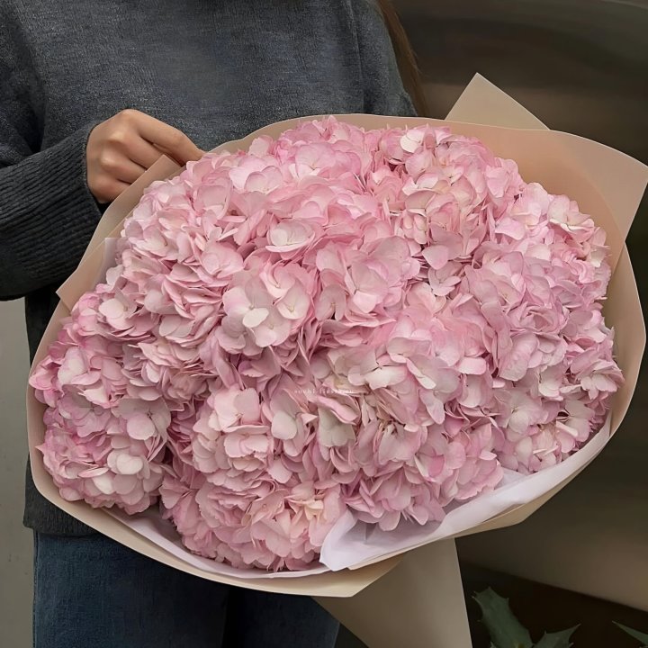 Гортензия  "РОЗЕ" в Костроме