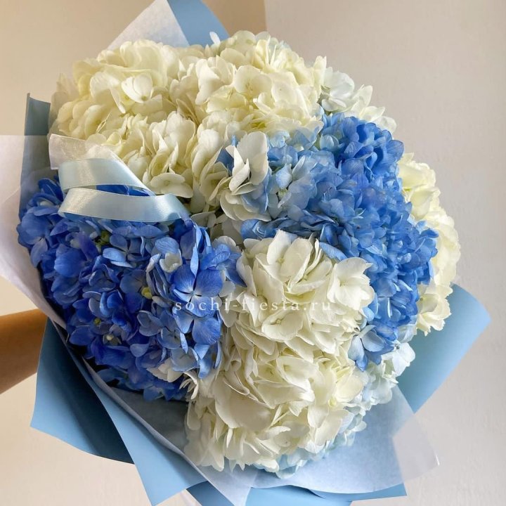 Букет гортензий "Голубая лаза" в Костроме
