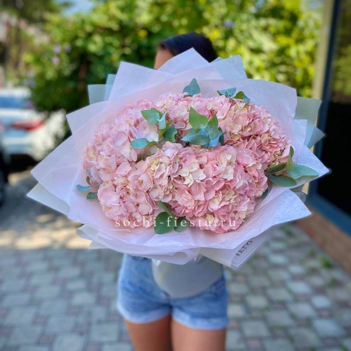 5 розовых гортензий  в Костроме