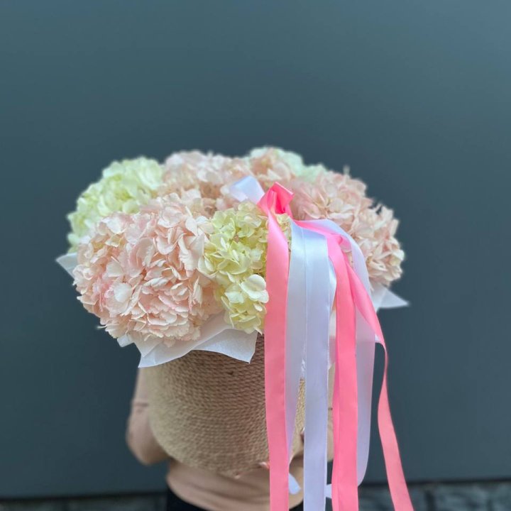 7 гортензий в кашпо в Костроме