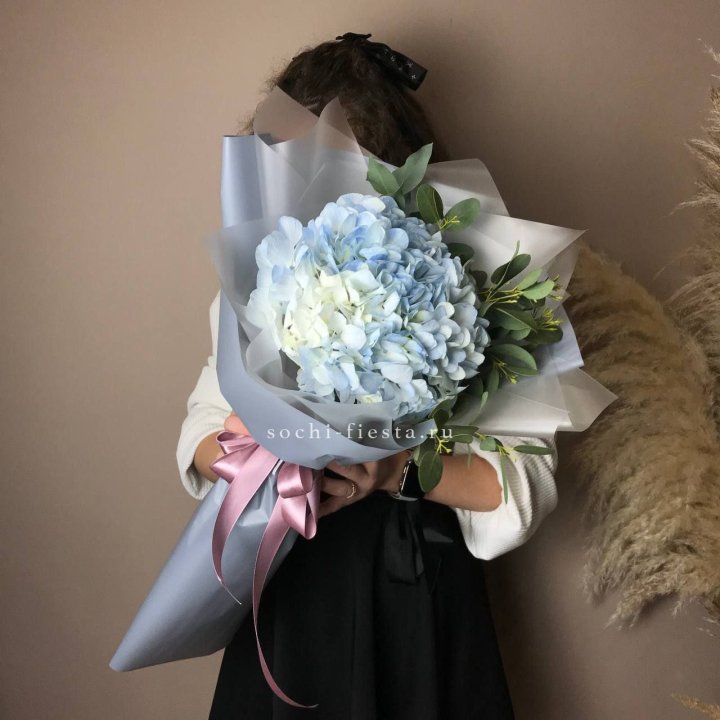 Гортензия Уно в Костроме