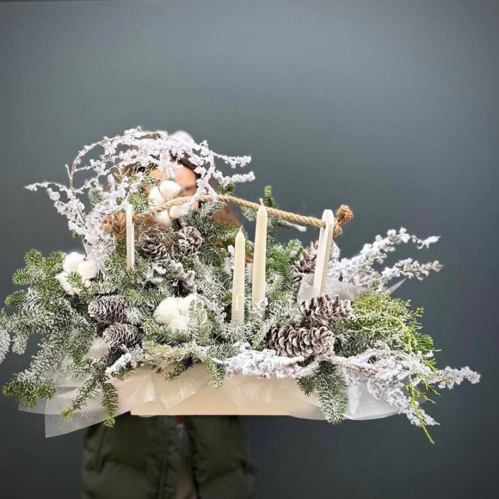 Новогодняя композиция  в Костроме