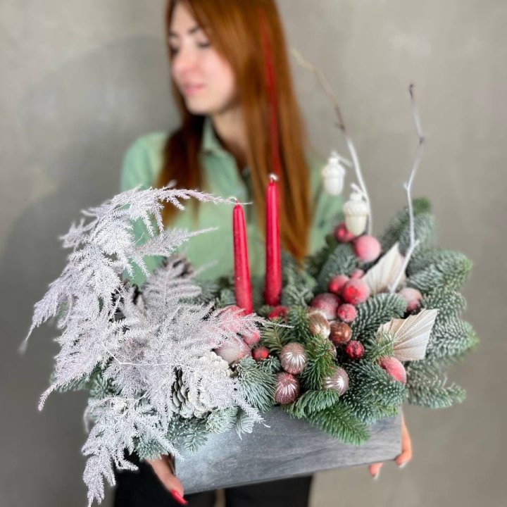 Бокс красный с нобилисом в Костроме